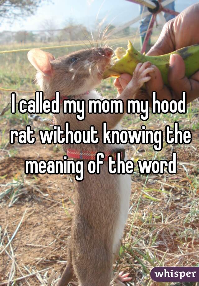 I called my mom my hood rat without knowing the meaning of the word