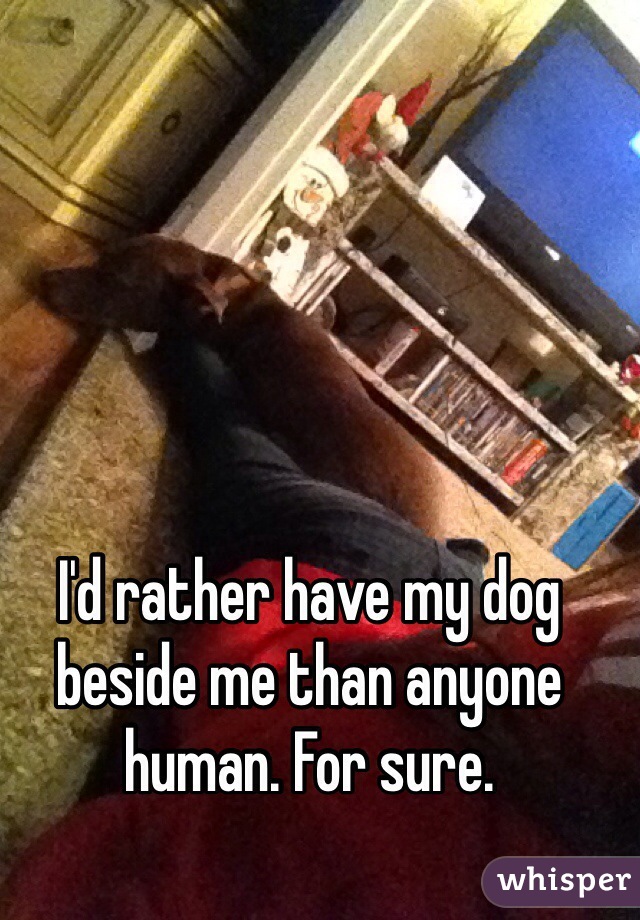 I'd rather have my dog beside me than anyone human. For sure. 