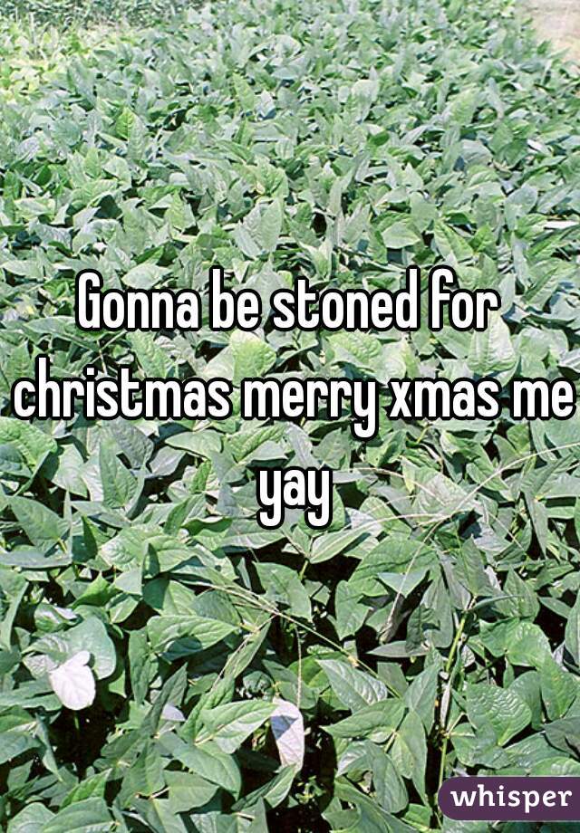 Gonna be stoned for christmas merry xmas me yay