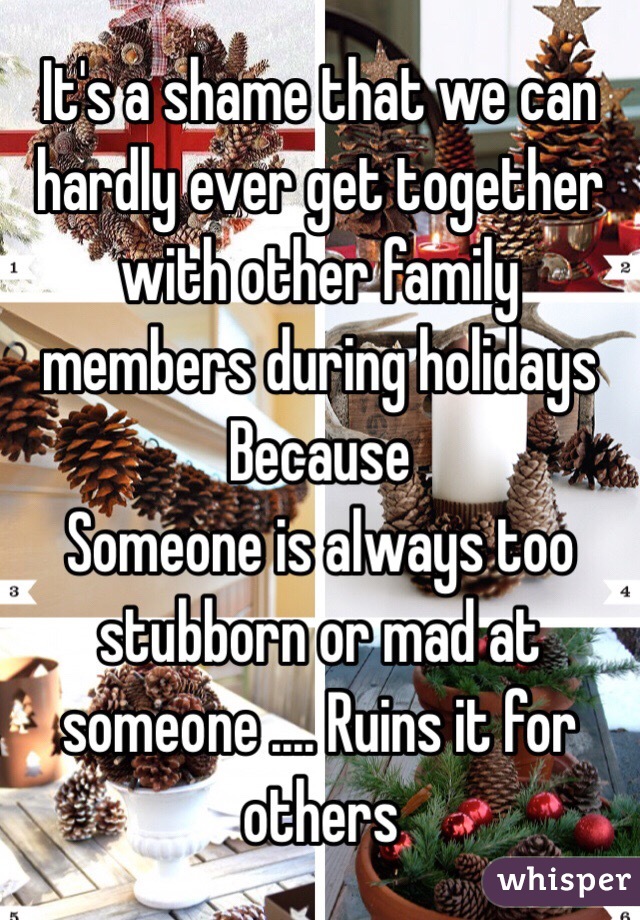 It's a shame that we can hardly ever get together with other family members during holidays Because
Someone is always too stubborn or mad at someone .... Ruins it for others 