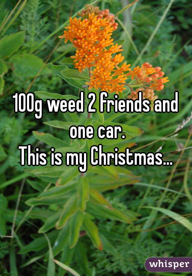 100g weed 2 friends and one car.
This is my Christmas...