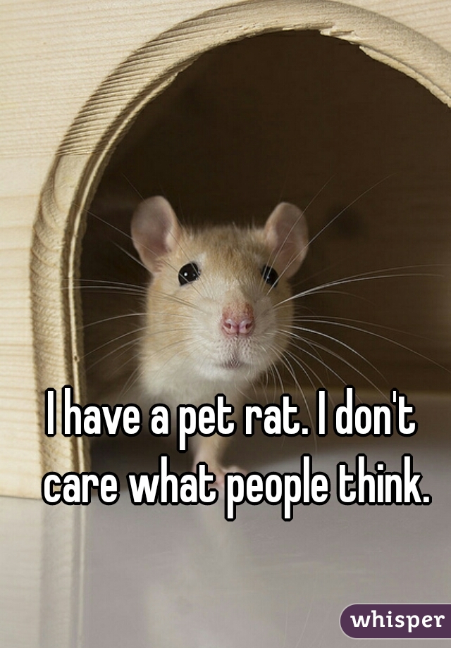 I have a pet rat. I don't care what people think.