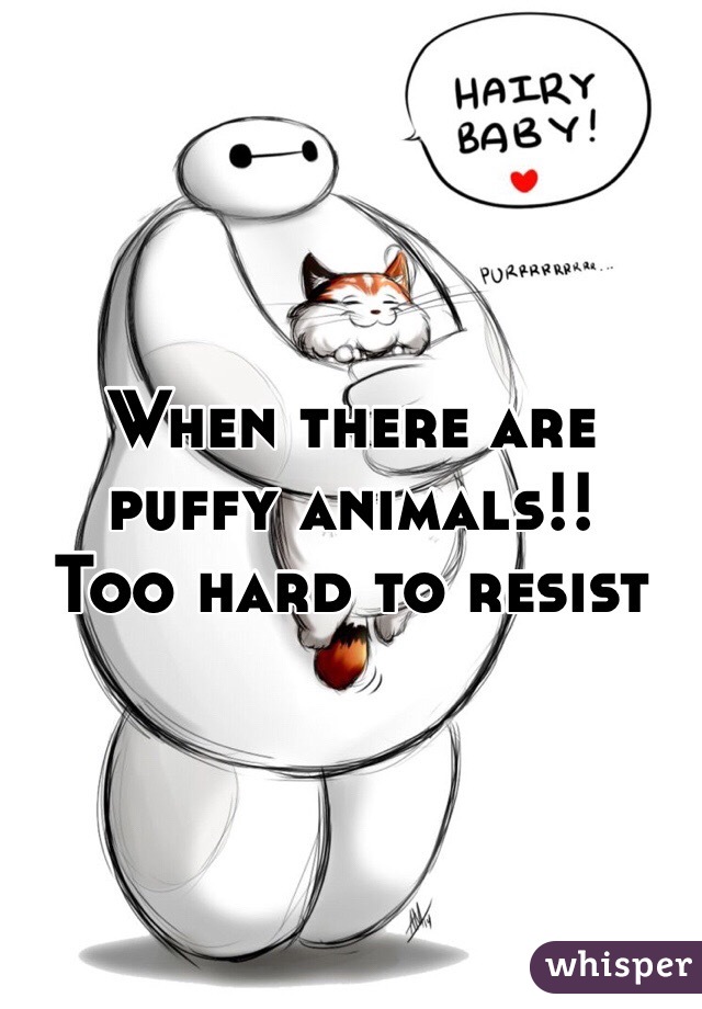 When there are puffy animals!!
Too hard to resist 