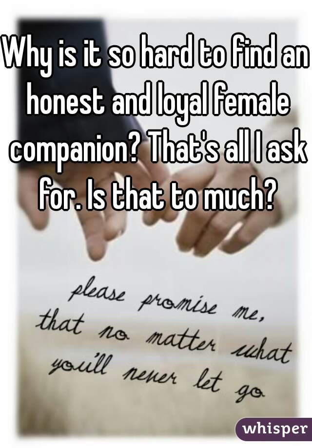 Why is it so hard to find an honest and loyal female companion? That's all I ask for. Is that to much?