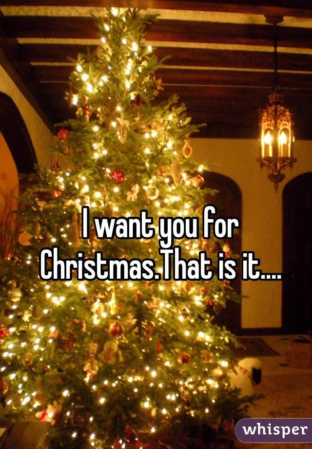 I want you for Christmas.That is it....