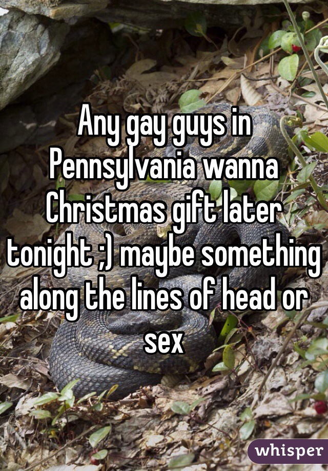 Any gay guys in Pennsylvania wanna Christmas gift later tonight ;) maybe something along the lines of head or sex