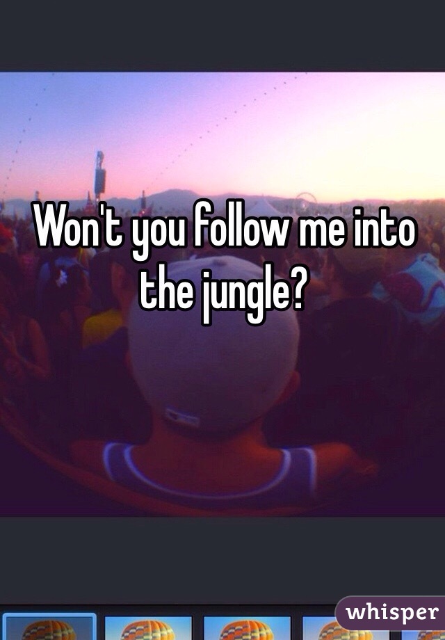 Won't you follow me into the jungle? 