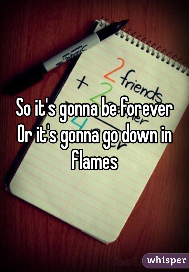 So it's gonna be forever
Or it's gonna go down in flames 