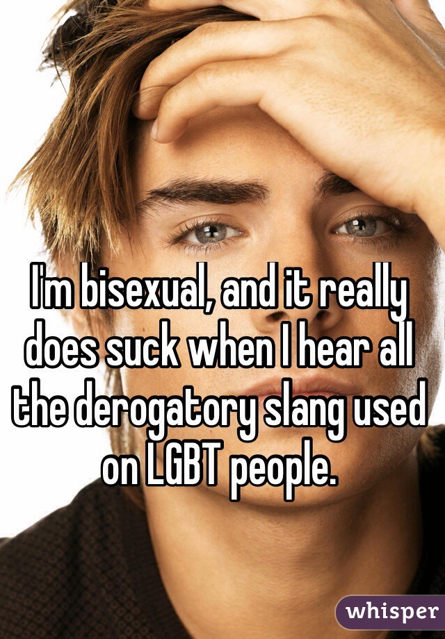 I'm bisexual, and it really does suck when I hear all the derogatory slang used on LGBT people.
