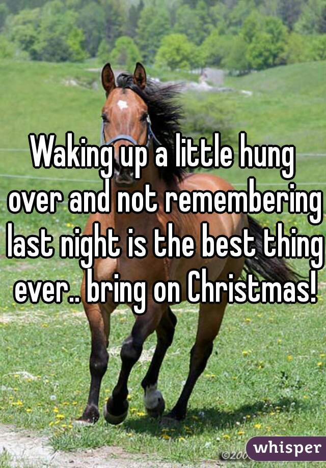 Waking up a little hung over and not remembering last night is the best thing ever.. bring on Christmas!