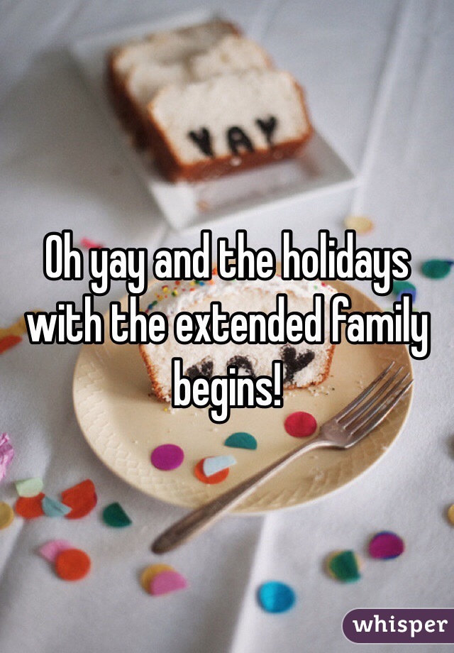 Oh yay and the holidays with the extended family begins!