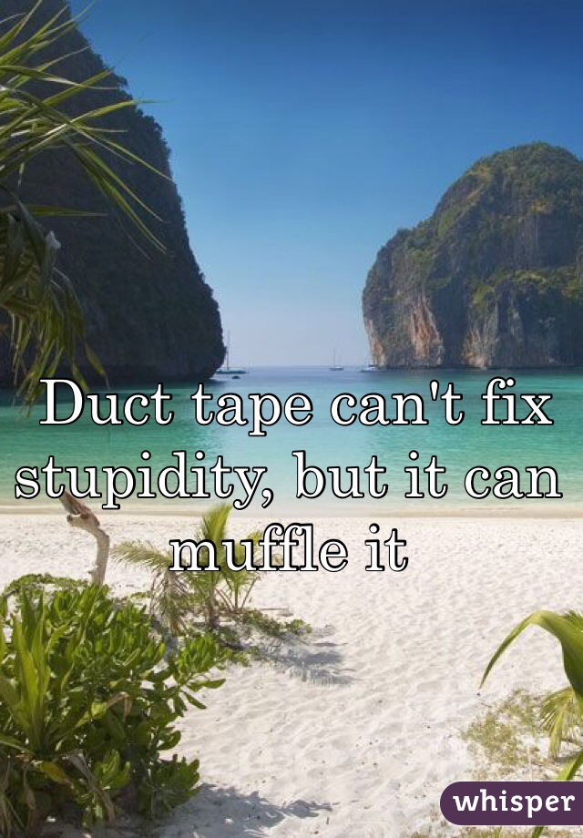  Duct tape can't fix stupidity, but it can muffle it