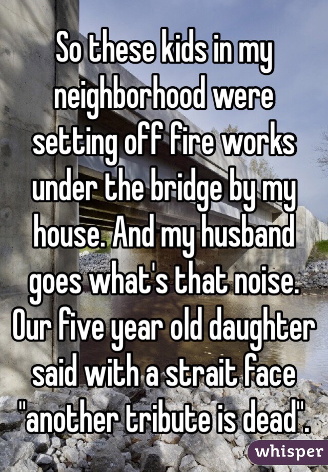 So these kids in my neighborhood were setting off fire works under the bridge by my house. And my husband goes what's that noise. Our five year old daughter said with a strait face "another tribute is dead".