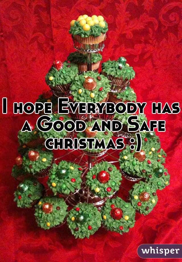 I hope Everybody has a Good and Safe christmas :)