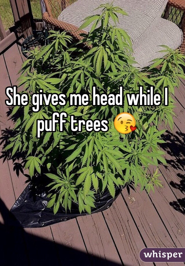 She gives me head while I puff trees 😘