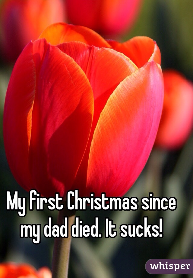 My first Christmas since my dad died. It sucks!