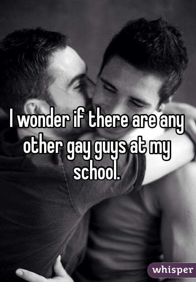 I wonder if there are any other gay guys at my school.