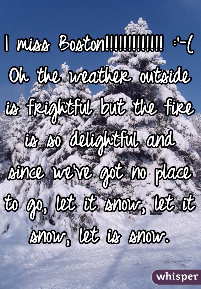 I miss Boston!!!!!!!!!!!!! :'-(
Oh the weather outside is frightful but the fire is so delightful and since we've got no place to go, let it snow, let it snow, let is snow. 