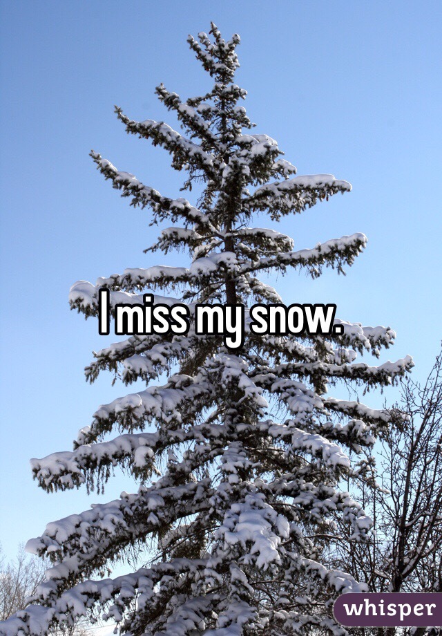 I miss my snow. 