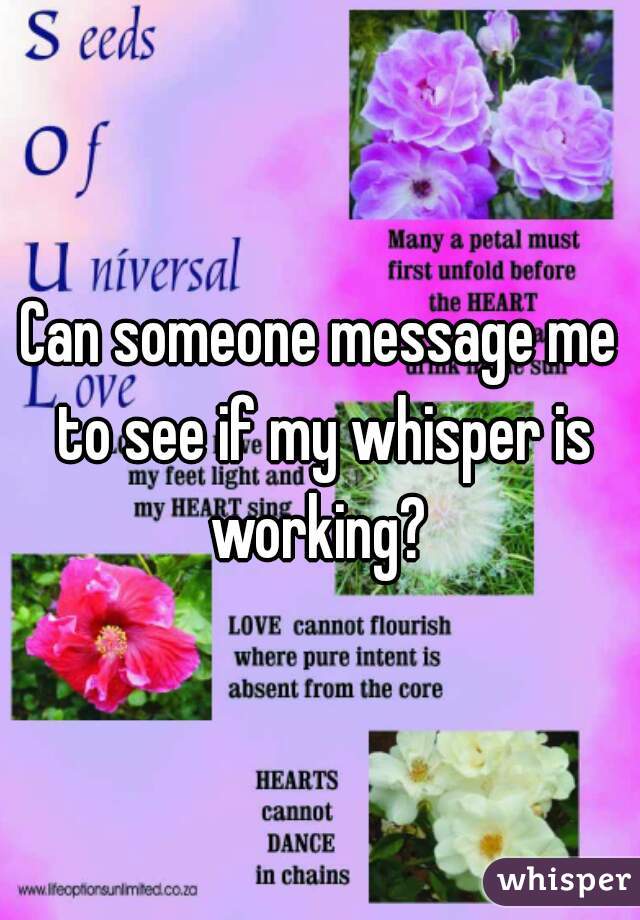 Can someone message me to see if my whisper is working? 