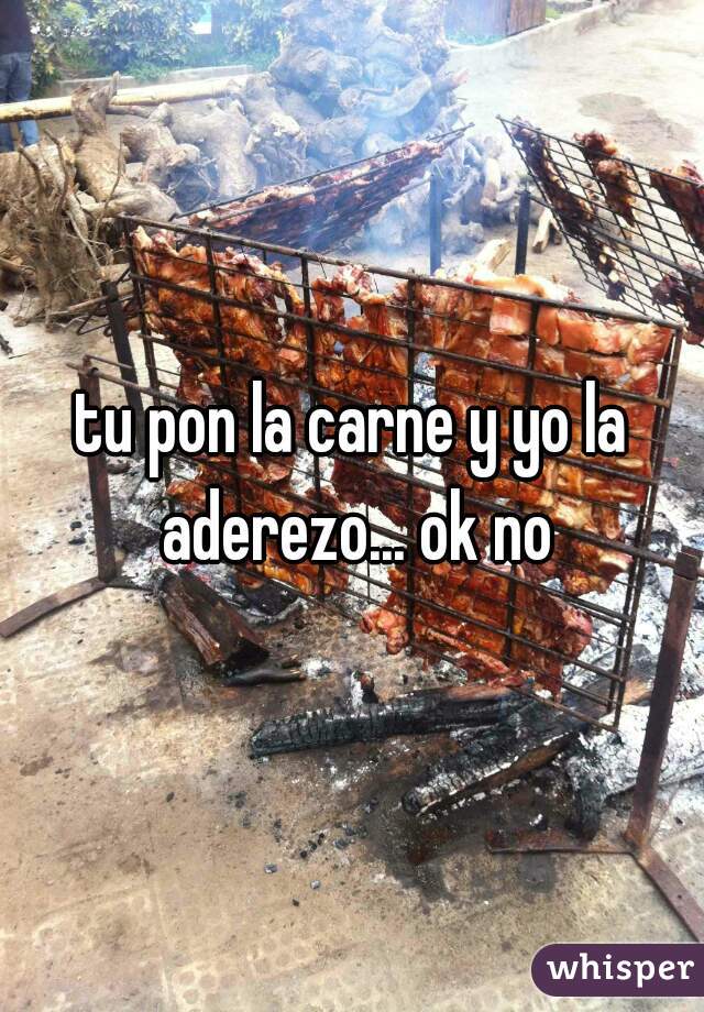 tu pon la carne y yo la aderezo... ok no