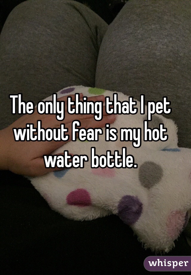 The only thing that I pet without fear is my hot water bottle. 