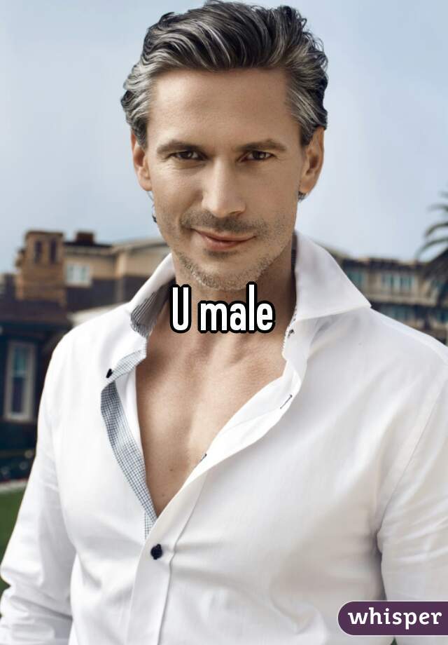 U male