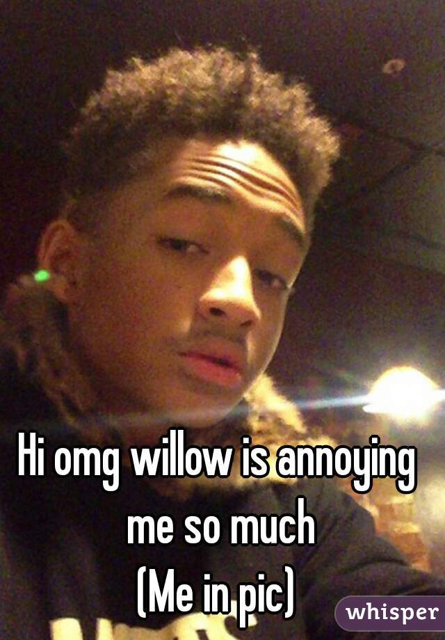 Hi omg willow is annoying me so much
(Me in pic)