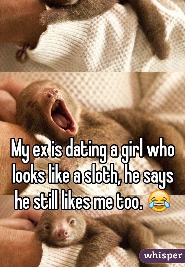 My ex is dating a girl who looks like a sloth, he says he still likes me too. 😂