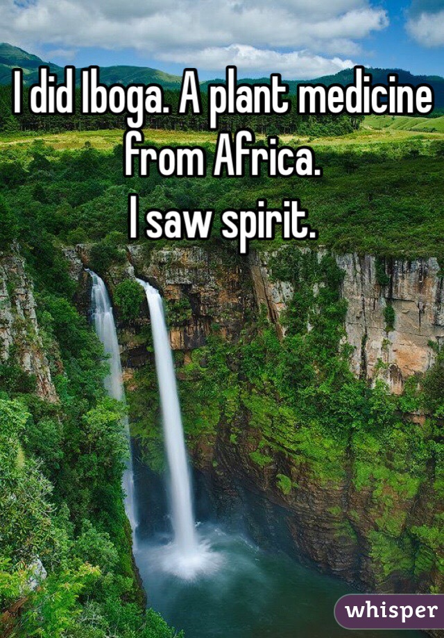 I did Iboga. A plant medicine from Africa. 
I saw spirit.  