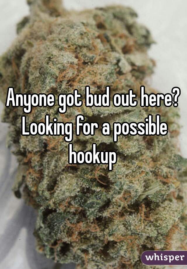 Anyone got bud out here? Looking for a possible hookup 