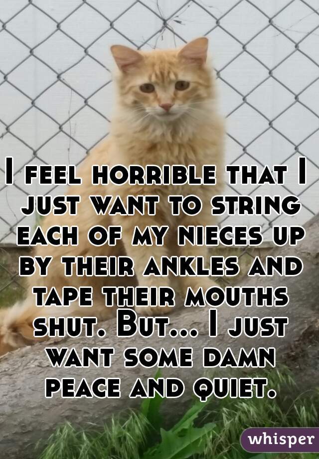 I feel horrible that I just want to string each of my nieces up by their ankles and tape their mouths shut. But... I just want some damn peace and quiet.