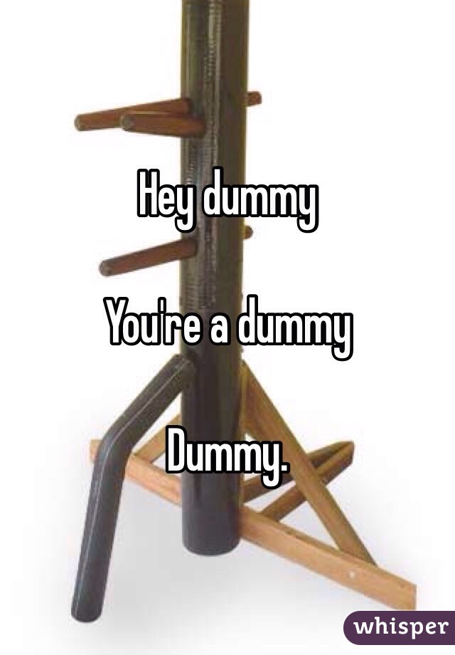 Hey dummy 

You're a dummy 

Dummy. 