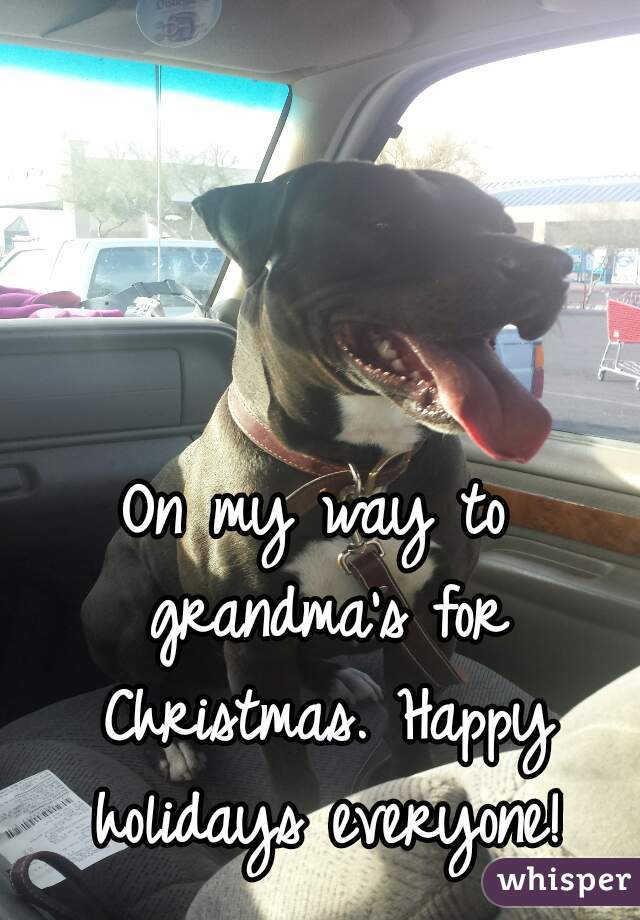 On my way to grandma's for Christmas. Happy holidays everyone!