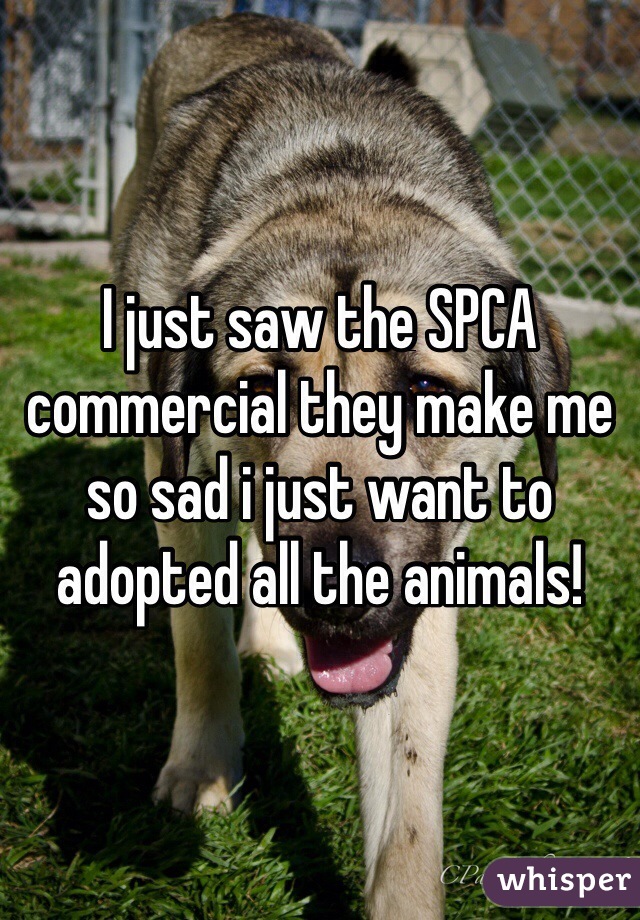 I just saw the SPCA commercial they make me so sad i just want to adopted all the animals!  