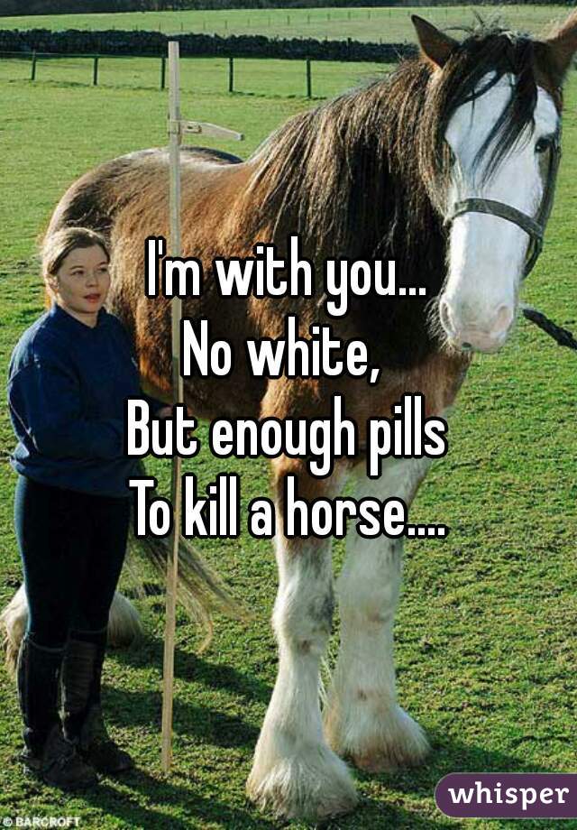 I'm with you...
No white, 
But enough pills
To kill a horse....
