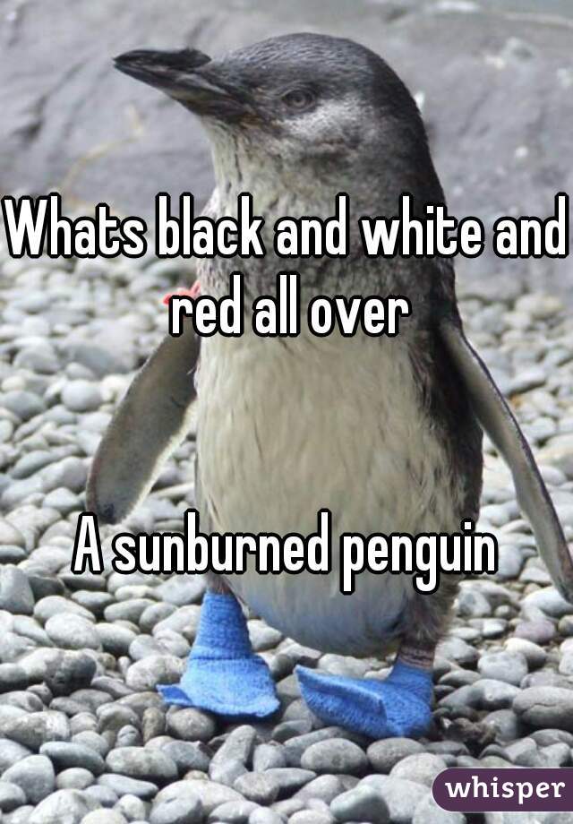 Whats black and white and red all over


A sunburned penguin