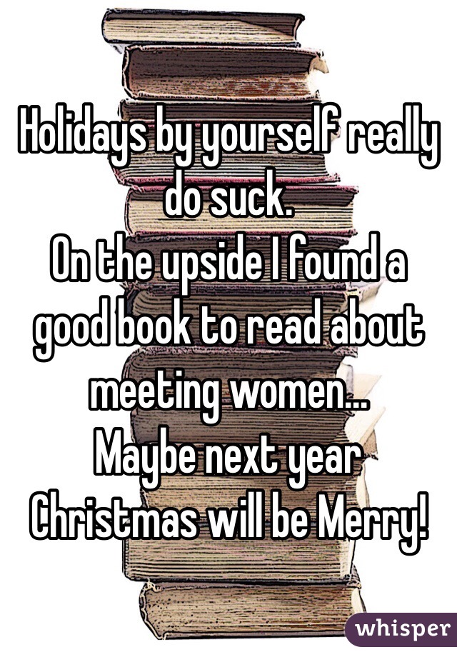 Holidays by yourself really do suck. 
On the upside I found a good book to read about meeting women...
Maybe next year Christmas will be Merry!