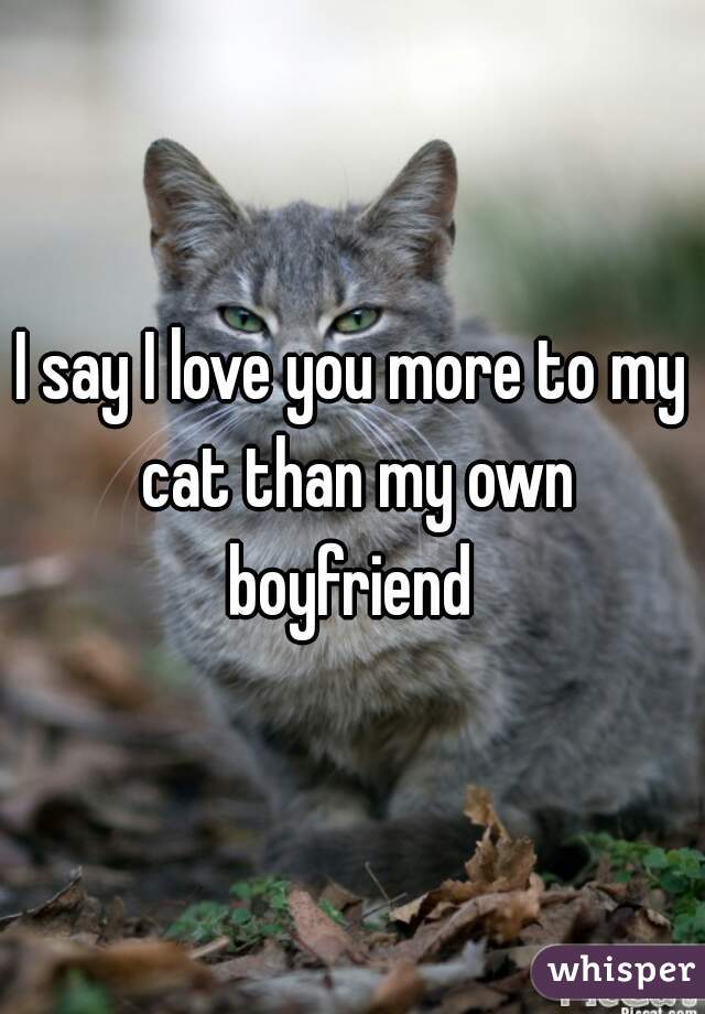 I say I love you more to my cat than my own boyfriend 