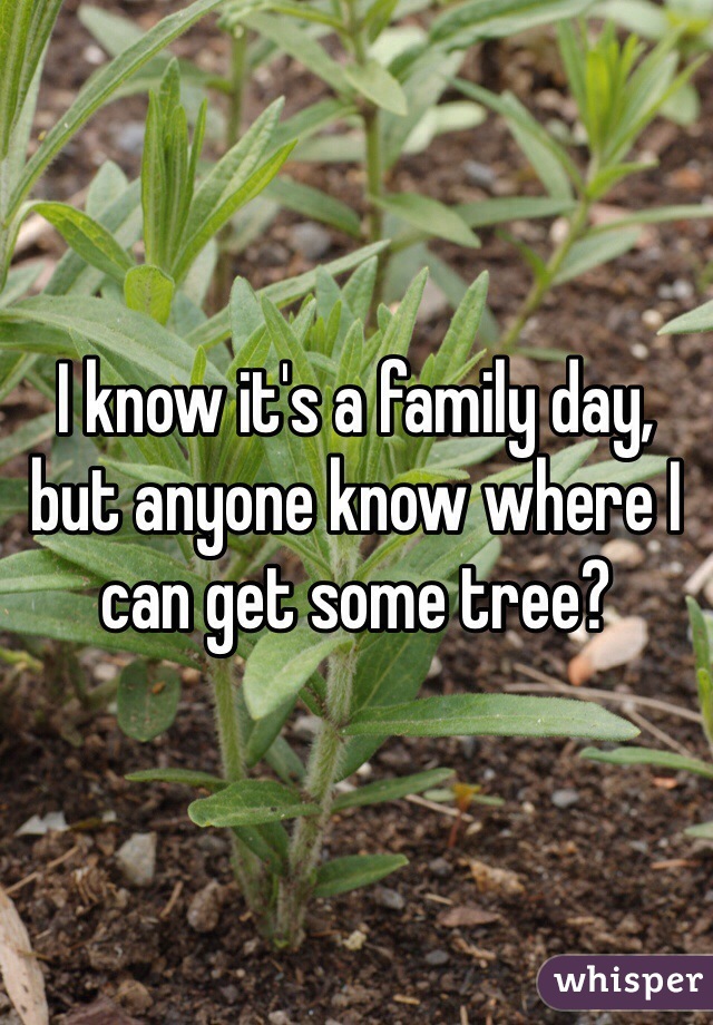 I know it's a family day, but anyone know where I can get some tree?