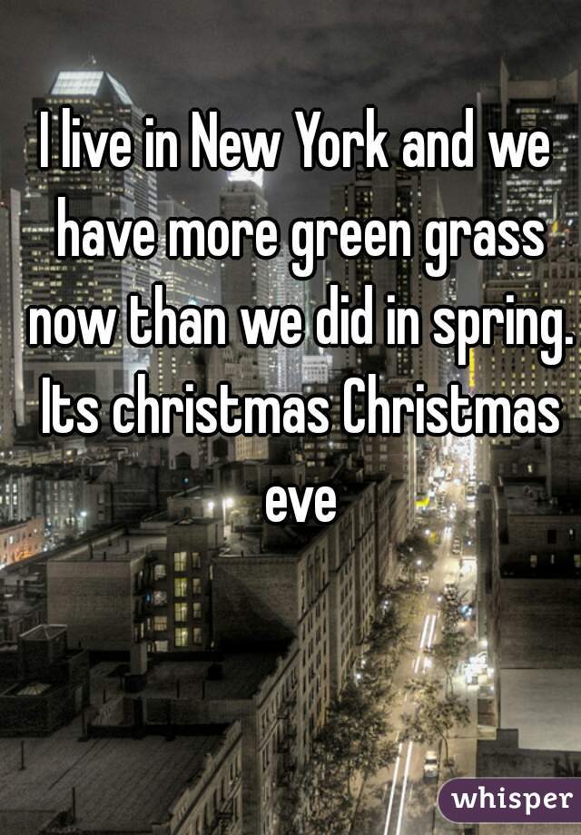 I live in New York and we have more green grass now than we did in spring. Its christmas Christmas eve
