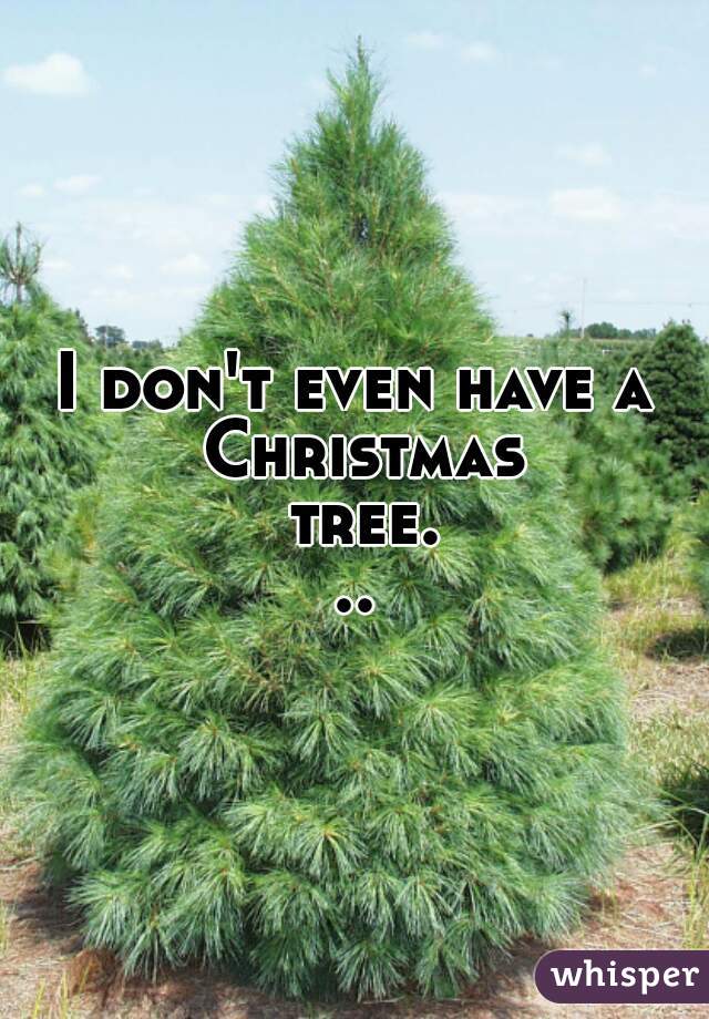 I don't even have a Christmas tree...