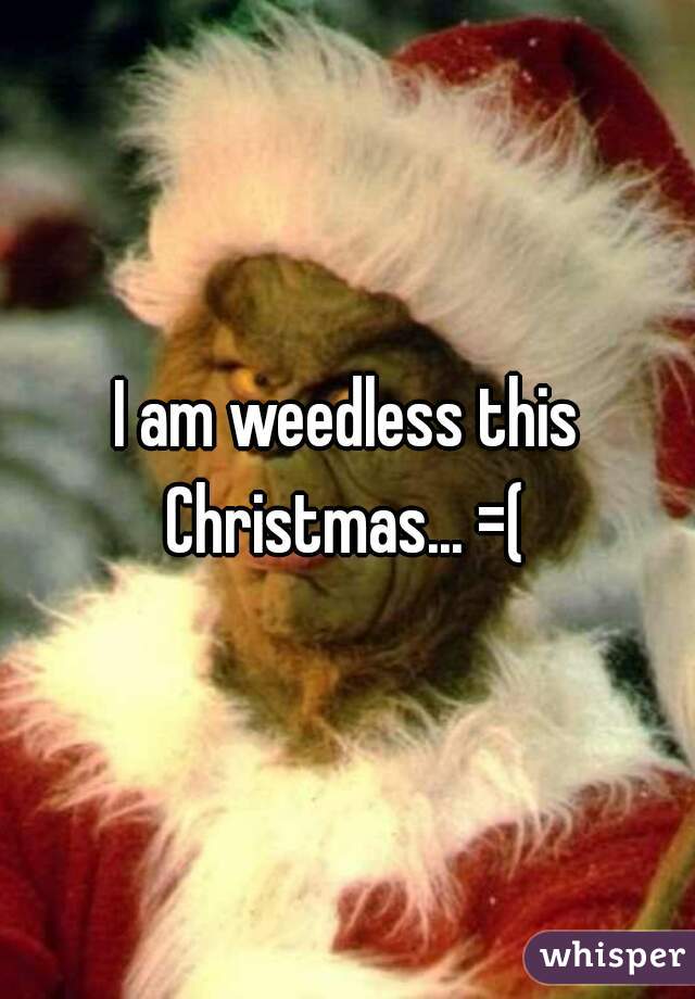 I am weedless this Christmas... =( 