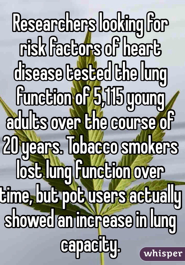 Researchers looking for risk factors of heart disease tested the lung function of 5,115 young adults over the course of 20 years. Tobacco smokers lost lung function over time, but pot users actually showed an increase in lung capacity.