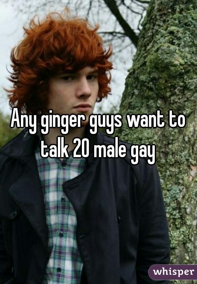 Any ginger guys want to talk 20 male gay 