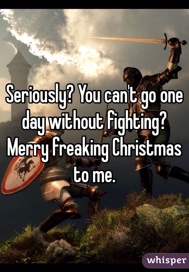 Seriously? You can't go one day without fighting? Merry freaking Christmas to me. 