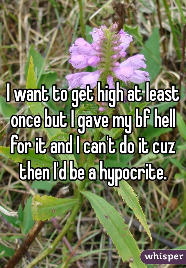 I want to get high at least once but I gave my bf hell for it and I can't do it cuz then I'd be a hypocrite. 