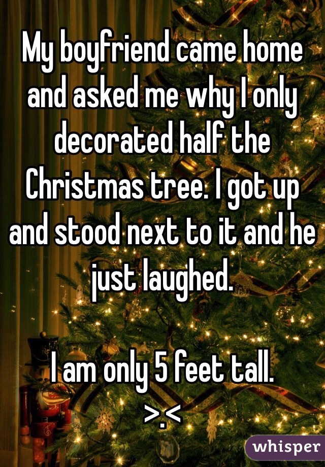 My boyfriend came home and asked me why I only decorated half the Christmas tree. I got up and stood next to it and he just laughed.

I am only 5 feet tall.
>.<