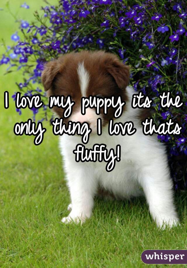 I love my puppy its the only thing I love thats fluffy!