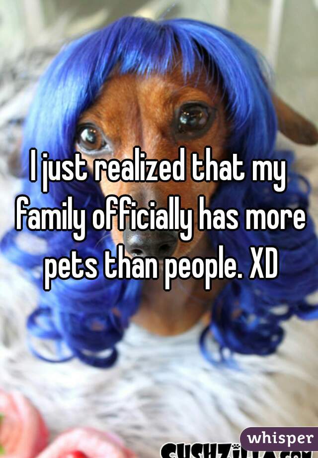 I just realized that my family officially has more pets than people. XD